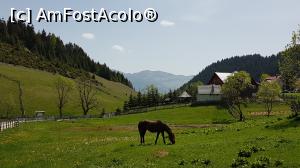 [P44]  -- <small>// FĂRĂ DESCRIERE</small> » foto by susu
 - 
<span class="allrVoted glyphicon glyphicon-heart hidden" id="av963676"></span>
<a class="m-l-10 hidden" id="sv963676" onclick="voting_Foto_DelVot(,963676,20255)" role="button">șterge vot <span class="glyphicon glyphicon-remove"></span></a>
<a id="v9963676" class=" c-red"  onclick="voting_Foto_SetVot(963676)" role="button"><span class="glyphicon glyphicon-heart-empty"></span> <b>LIKE</b> = Votează poza</a> <img class="hidden"  id="f963676W9" src="/imagini/loader.gif" border="0" /><span class="AjErrMes hidden" id="e963676ErM"></span>