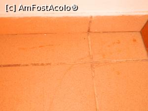 [P07]  -- <small>// FĂRĂ DESCRIERE</small> » foto by Paty
 - 
<span class="allrVoted glyphicon glyphicon-heart hidden" id="av899067"></span>
<a class="m-l-10 hidden" id="sv899067" onclick="voting_Foto_DelVot(,899067,20327)" role="button">șterge vot <span class="glyphicon glyphicon-remove"></span></a>
<a id="v9899067" class=" c-red"  onclick="voting_Foto_SetVot(899067)" role="button"><span class="glyphicon glyphicon-heart-empty"></span> <b>LIKE</b> = Votează poza</a> <img class="hidden"  id="f899067W9" src="/imagini/loader.gif" border="0" /><span class="AjErrMes hidden" id="e899067ErM"></span>