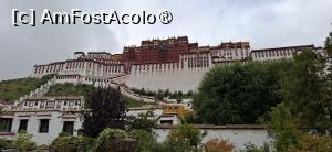 [P12] Lhasa - Palatul Potala. » foto by iulianic
 - 
<span class="allrVoted glyphicon glyphicon-heart hidden" id="av1499893"></span>
<a class="m-l-10 hidden" id="sv1499893" onclick="voting_Foto_DelVot(,1499893,20352)" role="button">șterge vot <span class="glyphicon glyphicon-remove"></span></a>
<a id="v91499893" class=" c-red"  onclick="voting_Foto_SetVot(1499893)" role="button"><span class="glyphicon glyphicon-heart-empty"></span> <b>LIKE</b> = Votează poza</a> <img class="hidden"  id="f1499893W9" src="/imagini/loader.gif" border="0" /><span class="AjErrMes hidden" id="e1499893ErM"></span>
