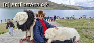 [P27]  -- <small>// FĂRĂ DESCRIERE</small> » foto by iulianic
 - 
<span class="allrVoted glyphicon glyphicon-heart hidden" id="av1499908"></span>
<a class="m-l-10 hidden" id="sv1499908" onclick="voting_Foto_DelVot(,1499908,20352)" role="button">șterge vot <span class="glyphicon glyphicon-remove"></span></a>
<a id="v91499908" class=" c-red"  onclick="voting_Foto_SetVot(1499908)" role="button"><span class="glyphicon glyphicon-heart-empty"></span> <b>LIKE</b> = Votează poza</a> <img class="hidden"  id="f1499908W9" src="/imagini/loader.gif" border="0" /><span class="AjErrMes hidden" id="e1499908ErM"></span>