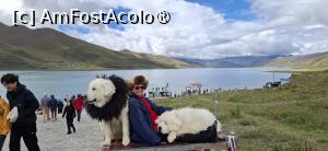 [P28]  -- <small>// FĂRĂ DESCRIERE</small> » foto by iulianic
 - 
<span class="allrVoted glyphicon glyphicon-heart hidden" id="av1499909"></span>
<a class="m-l-10 hidden" id="sv1499909" onclick="voting_Foto_DelVot(,1499909,20352)" role="button">șterge vot <span class="glyphicon glyphicon-remove"></span></a>
<a id="v91499909" class=" c-red"  onclick="voting_Foto_SetVot(1499909)" role="button"><span class="glyphicon glyphicon-heart-empty"></span> <b>LIKE</b> = Votează poza</a> <img class="hidden"  id="f1499909W9" src="/imagini/loader.gif" border="0" /><span class="AjErrMes hidden" id="e1499909ErM"></span>