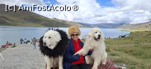 [P29]  -- <small>// FĂRĂ DESCRIERE</small> » foto by iulianic
 - 
<span class="allrVoted glyphicon glyphicon-heart hidden" id="av1499910"></span>
<a class="m-l-10 hidden" id="sv1499910" onclick="voting_Foto_DelVot(,1499910,20352)" role="button">șterge vot <span class="glyphicon glyphicon-remove"></span></a>
<a id="v91499910" class=" c-red"  onclick="voting_Foto_SetVot(1499910)" role="button"><span class="glyphicon glyphicon-heart-empty"></span> <b>LIKE</b> = Votează poza</a> <img class="hidden"  id="f1499910W9" src="/imagini/loader.gif" border="0" /><span class="AjErrMes hidden" id="e1499910ErM"></span>