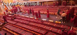 [P05] Lhasa - Manastirea Drepung, interior. » foto by iulianic
 - 
<span class="allrVoted glyphicon glyphicon-heart hidden" id="av1499886"></span>
<a class="m-l-10 hidden" id="sv1499886" onclick="voting_Foto_DelVot(,1499886,20352)" role="button">șterge vot <span class="glyphicon glyphicon-remove"></span></a>
<a id="v91499886" class=" c-red"  onclick="voting_Foto_SetVot(1499886)" role="button"><span class="glyphicon glyphicon-heart-empty"></span> <b>LIKE</b> = Votează poza</a> <img class="hidden"  id="f1499886W9" src="/imagini/loader.gif" border="0" /><span class="AjErrMes hidden" id="e1499886ErM"></span>