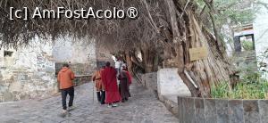 [P56]  -- <small>// FĂRĂ DESCRIERE</small> » foto by iulianic
 - 
<span class="allrVoted glyphicon glyphicon-heart hidden" id="av1499943"></span>
<a class="m-l-10 hidden" id="sv1499943" onclick="voting_Foto_DelVot(,1499943,20352)" role="button">șterge vot <span class="glyphicon glyphicon-remove"></span></a>
<a id="v91499943" class=" c-red"  onclick="voting_Foto_SetVot(1499943)" role="button"><span class="glyphicon glyphicon-heart-empty"></span> <b>LIKE</b> = Votează poza</a> <img class="hidden"  id="f1499943W9" src="/imagini/loader.gif" border="0" /><span class="AjErrMes hidden" id="e1499943ErM"></span>