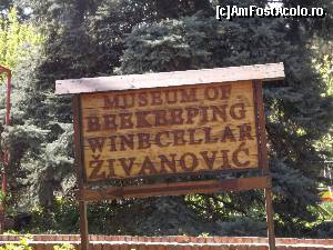 [P106] Muzeul albinăritului și crama Živanović, Sremski Karlovci » foto by Dragoș_MD
 - 
<span class="allrVoted glyphicon glyphicon-heart hidden" id="av613921"></span>
<a class="m-l-10 hidden" id="sv613921" onclick="voting_Foto_DelVot(,613921,20355)" role="button">șterge vot <span class="glyphicon glyphicon-remove"></span></a>
<a id="v9613921" class=" c-red"  onclick="voting_Foto_SetVot(613921)" role="button"><span class="glyphicon glyphicon-heart-empty"></span> <b>LIKE</b> = Votează poza</a> <img class="hidden"  id="f613921W9" src="/imagini/loader.gif" border="0" /><span class="AjErrMes hidden" id="e613921ErM"></span>