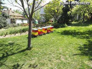 [P107] Muzeul albinăritului și crama Živanović, Sremski Karlovci » foto by Dragoș_MD
 - 
<span class="allrVoted glyphicon glyphicon-heart hidden" id="av613923"></span>
<a class="m-l-10 hidden" id="sv613923" onclick="voting_Foto_DelVot(,613923,20355)" role="button">șterge vot <span class="glyphicon glyphicon-remove"></span></a>
<a id="v9613923" class=" c-red"  onclick="voting_Foto_SetVot(613923)" role="button"><span class="glyphicon glyphicon-heart-empty"></span> <b>LIKE</b> = Votează poza</a> <img class="hidden"  id="f613923W9" src="/imagini/loader.gif" border="0" /><span class="AjErrMes hidden" id="e613923ErM"></span>