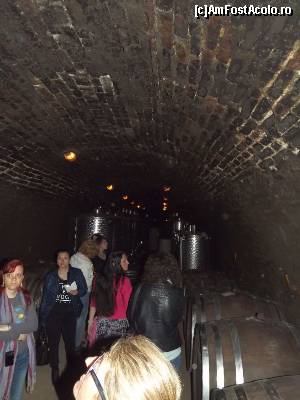 [P117] Muzeul albinăritului și crama Živanović, Sremski Karlovci - crama, metode și tehnologie cvasi-tradiționale » foto by Dragoș_MD
 - 
<span class="allrVoted glyphicon glyphicon-heart hidden" id="av613942"></span>
<a class="m-l-10 hidden" id="sv613942" onclick="voting_Foto_DelVot(,613942,20355)" role="button">șterge vot <span class="glyphicon glyphicon-remove"></span></a>
<a id="v9613942" class=" c-red"  onclick="voting_Foto_SetVot(613942)" role="button"><span class="glyphicon glyphicon-heart-empty"></span> <b>LIKE</b> = Votează poza</a> <img class="hidden"  id="f613942W9" src="/imagini/loader.gif" border="0" /><span class="AjErrMes hidden" id="e613942ErM"></span>