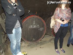 [P118] Muzeul albinăritului și crama Živanović, Sremski Karlovci - crama » foto by Dragoș_MD
 - 
<span class="allrVoted glyphicon glyphicon-heart hidden" id="av613944"></span>
<a class="m-l-10 hidden" id="sv613944" onclick="voting_Foto_DelVot(,613944,20355)" role="button">șterge vot <span class="glyphicon glyphicon-remove"></span></a>
<a id="v9613944" class=" c-red"  onclick="voting_Foto_SetVot(613944)" role="button"><span class="glyphicon glyphicon-heart-empty"></span> <b>LIKE</b> = Votează poza</a> <img class="hidden"  id="f613944W9" src="/imagini/loader.gif" border="0" /><span class="AjErrMes hidden" id="e613944ErM"></span>