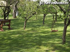 [P128] Salaš Stojšić, Beška - locul de relxare » foto by Dragoș_MD
 - 
<span class="allrVoted glyphicon glyphicon-heart hidden" id="av613984"></span>
<a class="m-l-10 hidden" id="sv613984" onclick="voting_Foto_DelVot(,613984,20355)" role="button">șterge vot <span class="glyphicon glyphicon-remove"></span></a>
<a id="v9613984" class=" c-red"  onclick="voting_Foto_SetVot(613984)" role="button"><span class="glyphicon glyphicon-heart-empty"></span> <b>LIKE</b> = Votează poza</a> <img class="hidden"  id="f613984W9" src="/imagini/loader.gif" border="0" /><span class="AjErrMes hidden" id="e613984ErM"></span>