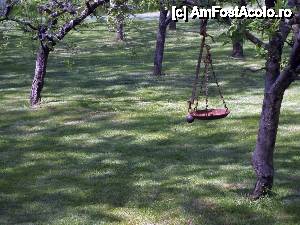 [P129] Salaš Stojšić, Beška - prin livadă » foto by Dragoș_MD
 - 
<span class="allrVoted glyphicon glyphicon-heart hidden" id="av613985"></span>
<a class="m-l-10 hidden" id="sv613985" onclick="voting_Foto_DelVot(,613985,20355)" role="button">șterge vot <span class="glyphicon glyphicon-remove"></span></a>
<a id="v9613985" class=" c-red"  onclick="voting_Foto_SetVot(613985)" role="button"><span class="glyphicon glyphicon-heart-empty"></span> <b>LIKE</b> = Votează poza</a> <img class="hidden"  id="f613985W9" src="/imagini/loader.gif" border="0" /><span class="AjErrMes hidden" id="e613985ErM"></span>