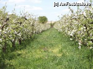 [P130] Salaš Stojšić, Beška - livada de meri » foto by Dragoș_MD
 - 
<span class="allrVoted glyphicon glyphicon-heart hidden" id="av613986"></span>
<a class="m-l-10 hidden" id="sv613986" onclick="voting_Foto_DelVot(,613986,20355)" role="button">șterge vot <span class="glyphicon glyphicon-remove"></span></a>
<a id="v9613986" class=" c-red"  onclick="voting_Foto_SetVot(613986)" role="button"><span class="glyphicon glyphicon-heart-empty"></span> <b>LIKE</b> = Votează poza</a> <img class="hidden"  id="f613986W9" src="/imagini/loader.gif" border="0" /><span class="AjErrMes hidden" id="e613986ErM"></span>