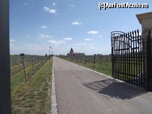 [P41] Cramele Zvonko Bogdan, Palić - drumul de acces » foto by Dragoș_MD
 - 
<span class="allrVoted glyphicon glyphicon-heart hidden" id="av613815"></span>
<a class="m-l-10 hidden" id="sv613815" onclick="voting_Foto_DelVot(,613815,20355)" role="button">șterge vot <span class="glyphicon glyphicon-remove"></span></a>
<a id="v9613815" class=" c-red"  onclick="voting_Foto_SetVot(613815)" role="button"><span class="glyphicon glyphicon-heart-empty"></span> <b>LIKE</b> = Votează poza</a> <img class="hidden"  id="f613815W9" src="/imagini/loader.gif" border="0" /><span class="AjErrMes hidden" id="e613815ErM"></span>