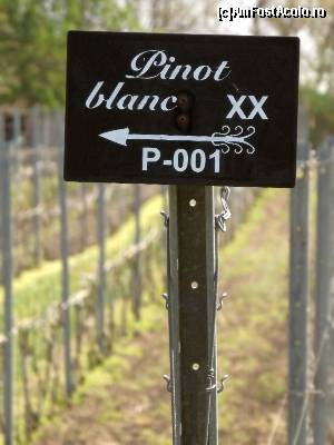 [P45] Cramele Zvonko Bogdan, Palić - via, foarte modernă » foto by Dragoș_MD
 - 
<span class="allrVoted glyphicon glyphicon-heart hidden" id="av613837"></span>
<a class="m-l-10 hidden" id="sv613837" onclick="voting_Foto_DelVot(,613837,20355)" role="button">șterge vot <span class="glyphicon glyphicon-remove"></span></a>
<a id="v9613837" class=" c-red"  onclick="voting_Foto_SetVot(613837)" role="button"><span class="glyphicon glyphicon-heart-empty"></span> <b>LIKE</b> = Votează poza</a> <img class="hidden"  id="f613837W9" src="/imagini/loader.gif" border="0" /><span class="AjErrMes hidden" id="e613837ErM"></span>