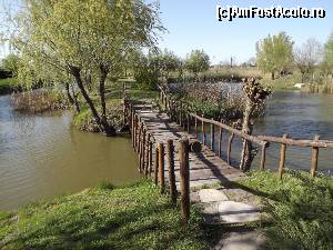 [P91] Majkin salaš, Palić - domeniul » foto by Dragoș_MD
 - 
<span class="allrVoted glyphicon glyphicon-heart hidden" id="av613884"></span>
<a class="m-l-10 hidden" id="sv613884" onclick="voting_Foto_DelVot(,613884,20355)" role="button">șterge vot <span class="glyphicon glyphicon-remove"></span></a>
<a id="v9613884" class=" c-red"  onclick="voting_Foto_SetVot(613884)" role="button"><span class="glyphicon glyphicon-heart-empty"></span> <b>LIKE</b> = Votează poza</a> <img class="hidden"  id="f613884W9" src="/imagini/loader.gif" border="0" /><span class="AjErrMes hidden" id="e613884ErM"></span>