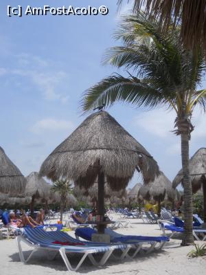 [P32] pe plaja » foto by MoniQ69
 - 
<span class="allrVoted glyphicon glyphicon-heart hidden" id="av757059"></span>
<a class="m-l-10 hidden" id="sv757059" onclick="voting_Foto_DelVot(,757059,20509)" role="button">șterge vot <span class="glyphicon glyphicon-remove"></span></a>
<a id="v9757059" class=" c-red"  onclick="voting_Foto_SetVot(757059)" role="button"><span class="glyphicon glyphicon-heart-empty"></span> <b>LIKE</b> = Votează poza</a> <img class="hidden"  id="f757059W9" src="/imagini/loader.gif" border="0" /><span class="AjErrMes hidden" id="e757059ErM"></span>