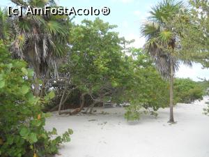 [P38] pe plaja neamenajata » foto by MoniQ69
 - 
<span class="allrVoted glyphicon glyphicon-heart hidden" id="av757065"></span>
<a class="m-l-10 hidden" id="sv757065" onclick="voting_Foto_DelVot(,757065,20509)" role="button">șterge vot <span class="glyphicon glyphicon-remove"></span></a>
<a id="v9757065" class=" c-red"  onclick="voting_Foto_SetVot(757065)" role="button"><span class="glyphicon glyphicon-heart-empty"></span> <b>LIKE</b> = Votează poza</a> <img class="hidden"  id="f757065W9" src="/imagini/loader.gif" border="0" /><span class="AjErrMes hidden" id="e757065ErM"></span>