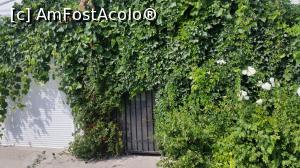[P04] Intrarea la vila angela. Nu știam de ce nu au acceptat să facem plata prin transfer bancar decât la avans care a fost în valoare de 6800 lei. Restul de 30 și ceva de mii i-am achitat cash cum am ajuns a insistat să facem plata la diferența, nu știam de ce trag așa de bani sa ii primească » foto by Cvf
 - 
<span class="allrVoted glyphicon glyphicon-heart hidden" id="av882276"></span>
<a class="m-l-10 hidden" id="sv882276" onclick="voting_Foto_DelVot(,882276,20558)" role="button">șterge vot <span class="glyphicon glyphicon-remove"></span></a>
<a id="v9882276" class=" c-red"  onclick="voting_Foto_SetVot(882276)" role="button"><span class="glyphicon glyphicon-heart-empty"></span> <b>LIKE</b> = Votează poza</a> <img class="hidden"  id="f882276W9" src="/imagini/loader.gif" border="0" /><span class="AjErrMes hidden" id="e882276ErM"></span>