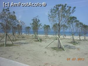 [P22] Vlorë - Arbori de curând plantați.  » foto by iulianic
 - 
<span class="allrVoted glyphicon glyphicon-heart hidden" id="av888849"></span>
<a class="m-l-10 hidden" id="sv888849" onclick="voting_Foto_DelVot(,888849,20606)" role="button">șterge vot <span class="glyphicon glyphicon-remove"></span></a>
<a id="v9888849" class=" c-red"  onclick="voting_Foto_SetVot(888849)" role="button"><span class="glyphicon glyphicon-heart-empty"></span> <b>LIKE</b> = Votează poza</a> <img class="hidden"  id="f888849W9" src="/imagini/loader.gif" border="0" /><span class="AjErrMes hidden" id="e888849ErM"></span>
