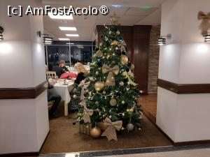 [P12] Bradul din restaurant » foto by roxxie
 - 
<span class="allrVoted glyphicon glyphicon-heart hidden" id="av1510028"></span>
<a class="m-l-10 hidden" id="sv1510028" onclick="voting_Foto_DelVot(,1510028,20618)" role="button">șterge vot <span class="glyphicon glyphicon-remove"></span></a>
<a id="v91510028" class=" c-red"  onclick="voting_Foto_SetVot(1510028)" role="button"><span class="glyphicon glyphicon-heart-empty"></span> <b>LIKE</b> = Votează poza</a> <img class="hidden"  id="f1510028W9" src="/imagini/loader.gif" border="0" /><span class="AjErrMes hidden" id="e1510028ErM"></span>