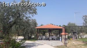 [P07] Foişor » foto by Artana
 - 
<span class="allrVoted glyphicon glyphicon-heart hidden" id="av770647"></span>
<a class="m-l-10 hidden" id="sv770647" onclick="voting_Foto_DelVot(,770647,20675)" role="button">șterge vot <span class="glyphicon glyphicon-remove"></span></a>
<a id="v9770647" class=" c-red"  onclick="voting_Foto_SetVot(770647)" role="button"><span class="glyphicon glyphicon-heart-empty"></span> <b>LIKE</b> = Votează poza</a> <img class="hidden"  id="f770647W9" src="/imagini/loader.gif" border="0" /><span class="AjErrMes hidden" id="e770647ErM"></span>