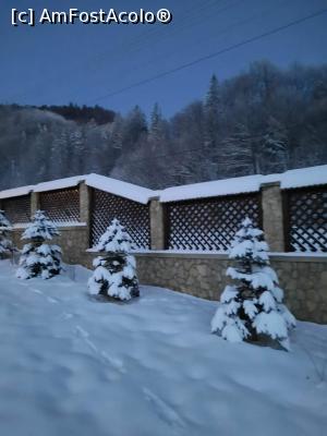 [P09] Brăduți înveliți bine. » foto by edulup25096
 - 
<span class="allrVoted glyphicon glyphicon-heart hidden" id="av1272792"></span>
<a class="m-l-10 hidden" id="sv1272792" onclick="voting_Foto_DelVot(,1272792,20678)" role="button">șterge vot <span class="glyphicon glyphicon-remove"></span></a>
<a id="v91272792" class=" c-red"  onclick="voting_Foto_SetVot(1272792)" role="button"><span class="glyphicon glyphicon-heart-empty"></span> <b>LIKE</b> = Votează poza</a> <img class="hidden"  id="f1272792W9" src="/imagini/loader.gif" border="0" /><span class="AjErrMes hidden" id="e1272792ErM"></span>