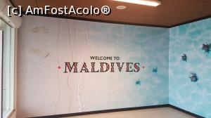 [P21] Primul pas in Maldive...  » foto by Kyandra
 - 
<span class="allrVoted glyphicon glyphicon-heart hidden" id="av775377"></span>
<a class="m-l-10 hidden" id="sv775377" onclick="voting_Foto_DelVot(,775377,20748)" role="button">șterge vot <span class="glyphicon glyphicon-remove"></span></a>
<a id="v9775377" class=" c-red"  onclick="voting_Foto_SetVot(775377)" role="button"><span class="glyphicon glyphicon-heart-empty"></span> <b>LIKE</b> = Votează poza</a> <img class="hidden"  id="f775377W9" src="/imagini/loader.gif" border="0" /><span class="AjErrMes hidden" id="e775377ErM"></span>