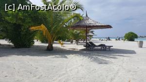 [P23] Plaja...  » foto by Kyandra
 - 
<span class="allrVoted glyphicon glyphicon-heart hidden" id="av775379"></span>
<a class="m-l-10 hidden" id="sv775379" onclick="voting_Foto_DelVot(,775379,20748)" role="button">șterge vot <span class="glyphicon glyphicon-remove"></span></a>
<a id="v9775379" class=" c-red"  onclick="voting_Foto_SetVot(775379)" role="button"><span class="glyphicon glyphicon-heart-empty"></span> <b>LIKE</b> = Votează poza</a> <img class="hidden"  id="f775379W9" src="/imagini/loader.gif" border="0" /><span class="AjErrMes hidden" id="e775379ErM"></span>