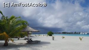 [P25] Ploaie in paradis...  » foto by Kyandra
 - 
<span class="allrVoted glyphicon glyphicon-heart hidden" id="av775381"></span>
<a class="m-l-10 hidden" id="sv775381" onclick="voting_Foto_DelVot(,775381,20748)" role="button">șterge vot <span class="glyphicon glyphicon-remove"></span></a>
<a id="v9775381" class=" c-red"  onclick="voting_Foto_SetVot(775381)" role="button"><span class="glyphicon glyphicon-heart-empty"></span> <b>LIKE</b> = Votează poza</a> <img class="hidden"  id="f775381W9" src="/imagini/loader.gif" border="0" /><span class="AjErrMes hidden" id="e775381ErM"></span>