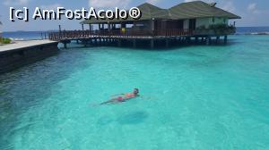 [P08] Restaurantul italian » foto by Kyandra
 - 
<span class="allrVoted glyphicon glyphicon-heart hidden" id="av775364"></span>
<a class="m-l-10 hidden" id="sv775364" onclick="voting_Foto_DelVot(,775364,20748)" role="button">șterge vot <span class="glyphicon glyphicon-remove"></span></a>
<a id="v9775364" class=" c-red"  onclick="voting_Foto_SetVot(775364)" role="button"><span class="glyphicon glyphicon-heart-empty"></span> <b>LIKE</b> = Votează poza</a> <img class="hidden"  id="f775364W9" src="/imagini/loader.gif" border="0" /><span class="AjErrMes hidden" id="e775364ErM"></span>