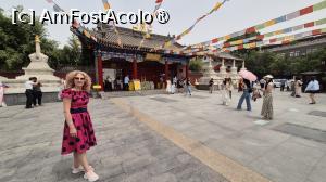 [P10] Templul Guangren este singura manastire budista tibetana din provincia Shaanxi, construit in 1705, la ordinul imparatului Kangxi, pentru a promova unitatea si stabilitatea in regiunile multietnice din nord-vestul Chinei. Intrarea in complex se realizeaza prin magnifica poarta Shanmen, care poarta o placa cu numele templului scris de imparatul Kangxi. Pe acoperisul portii se afla statuile a 2 cerbi care asculta Sutre citite. De o parte si de alta a portii se afla cate 4 pagode pentru a-l celebra pe Buddha. Intrarea este libera, ba chiar am primit un bidon cu apa si un servetel umed, binevenite pentru temperaturile de peste 35 grade din aceasta zi. » foto by geani anto
 - 
<span class="allrVoted glyphicon glyphicon-heart hidden" id="av1496607"></span>
<a class="m-l-10 hidden" id="sv1496607" onclick="voting_Foto_DelVot(,1496607,20766)" role="button">șterge vot <span class="glyphicon glyphicon-remove"></span></a>
<a id="v91496607" class=" c-red"  onclick="voting_Foto_SetVot(1496607)" role="button"><span class="glyphicon glyphicon-heart-empty"></span> <b>LIKE</b> = Votează poza</a> <img class="hidden"  id="f1496607W9" src="/imagini/loader.gif" border="0" /><span class="AjErrMes hidden" id="e1496607ErM"></span>