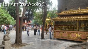 [P21]  -- <small>// FĂRĂ DESCRIERE</small> » foto by geani anto
 - 
<span class="allrVoted glyphicon glyphicon-heart hidden" id="av1496618"></span>
<a class="m-l-10 hidden" id="sv1496618" onclick="voting_Foto_DelVot(,1496618,20766)" role="button">șterge vot <span class="glyphicon glyphicon-remove"></span></a>
<a id="v91496618" class=" c-red"  onclick="voting_Foto_SetVot(1496618)" role="button"><span class="glyphicon glyphicon-heart-empty"></span> <b>LIKE</b> = Votează poza</a> <img class="hidden"  id="f1496618W9" src="/imagini/loader.gif" border="0" /><span class="AjErrMes hidden" id="e1496618ErM"></span>