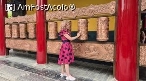 [P29] Sala Centrala, inconjurata de 40 de roti de rugaciune, in stilul templelor budiste tibetane, pe care le rotesti in sensul acelor de ceasornic in timp ce te plimbi in jurul salii, gazduieste o statuie mareata si delicata de 2 metri inaltime a Tarei Verzi, din cupru, acoperita cu aur. In lateralele acesteia se gasesc alte statui, toate relicve culturale din dinastia Tang. » foto by geani anto
 - 
<span class="allrVoted glyphicon glyphicon-heart hidden" id="av1496626"></span>
<a class="m-l-10 hidden" id="sv1496626" onclick="voting_Foto_DelVot(,1496626,20766)" role="button">șterge vot <span class="glyphicon glyphicon-remove"></span></a>
<a id="v91496626" class=" c-red"  onclick="voting_Foto_SetVot(1496626)" role="button"><span class="glyphicon glyphicon-heart-empty"></span> <b>LIKE</b> = Votează poza</a> <img class="hidden"  id="f1496626W9" src="/imagini/loader.gif" border="0" /><span class="AjErrMes hidden" id="e1496626ErM"></span>