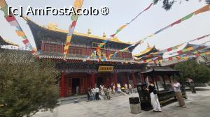 [P32]  -- <small>// FĂRĂ DESCRIERE</small> » foto by geani anto
 - 
<span class="allrVoted glyphicon glyphicon-heart hidden" id="av1496629"></span>
<a class="m-l-10 hidden" id="sv1496629" onclick="voting_Foto_DelVot(,1496629,20766)" role="button">șterge vot <span class="glyphicon glyphicon-remove"></span></a>
<a id="v91496629" class=" c-red"  onclick="voting_Foto_SetVot(1496629)" role="button"><span class="glyphicon glyphicon-heart-empty"></span> <b>LIKE</b> = Votează poza</a> <img class="hidden"  id="f1496629W9" src="/imagini/loader.gif" border="0" /><span class="AjErrMes hidden" id="e1496629ErM"></span>