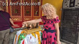 [P35] In fata templului se gaseste statuia animalului pe care Buddha Jambhala Galben il tine in mana stanga, care scuipa bani, statuie pe care am atins-o, asa cum spune traditia, pentru a ma imbogati. » foto by geani anto
 - 
<span class="allrVoted glyphicon glyphicon-heart hidden" id="av1496632"></span>
<a class="m-l-10 hidden" id="sv1496632" onclick="voting_Foto_DelVot(,1496632,20766)" role="button">șterge vot <span class="glyphicon glyphicon-remove"></span></a>
<a id="v91496632" class=" c-red"  onclick="voting_Foto_SetVot(1496632)" role="button"><span class="glyphicon glyphicon-heart-empty"></span> <b>LIKE</b> = Votează poza</a> <img class="hidden"  id="f1496632W9" src="/imagini/loader.gif" border="0" /><span class="AjErrMes hidden" id="e1496632ErM"></span>