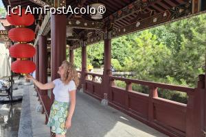 [P33]  -- <small>// FĂRĂ DESCRIERE</small> » foto by geani anto
 - 
<span class="allrVoted glyphicon glyphicon-heart hidden" id="av1502696"></span>
<a class="m-l-10 hidden" id="sv1502696" onclick="voting_Foto_DelVot(,1502696,20766)" role="button">șterge vot <span class="glyphicon glyphicon-remove"></span></a>
<a id="v91502696" class=" c-red"  onclick="voting_Foto_SetVot(1502696)" role="button"><span class="glyphicon glyphicon-heart-empty"></span> <b>LIKE</b> = Votează poza</a> <img class="hidden"  id="f1502696W9" src="/imagini/loader.gif" border="0" /><span class="AjErrMes hidden" id="e1502696ErM"></span>