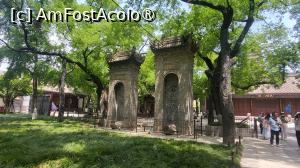 [P35]  -- <small>// FĂRĂ DESCRIERE</small> » foto by geani anto
 - 
<span class="allrVoted glyphicon glyphicon-heart hidden" id="av1504835"></span>
<a class="m-l-10 hidden" id="sv1504835" onclick="voting_Foto_DelVot(,1504835,20766)" role="button">șterge vot <span class="glyphicon glyphicon-remove"></span></a>
<a id="v91504835" class=" c-red"  onclick="voting_Foto_SetVot(1504835)" role="button"><span class="glyphicon glyphicon-heart-empty"></span> <b>LIKE</b> = Votează poza</a> <img class="hidden"  id="f1504835W9" src="/imagini/loader.gif" border="0" /><span class="AjErrMes hidden" id="e1504835ErM"></span>