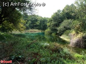 [P29] Unul din izvoarele ce alimentează lacul Ohrid; în apropiere de mănăstirea Sf. Naum, la granița cu Albania » foto by Costi
 - 
<span class="allrVoted glyphicon glyphicon-heart hidden" id="av1108714"></span>
<a class="m-l-10 hidden" id="sv1108714" onclick="voting_Foto_DelVot(,1108714,20771)" role="button">șterge vot <span class="glyphicon glyphicon-remove"></span></a>
<a id="v91108714" class=" c-red"  onclick="voting_Foto_SetVot(1108714)" role="button"><span class="glyphicon glyphicon-heart-empty"></span> <b>LIKE</b> = Votează poza</a> <img class="hidden"  id="f1108714W9" src="/imagini/loader.gif" border="0" /><span class="AjErrMes hidden" id="e1108714ErM"></span>