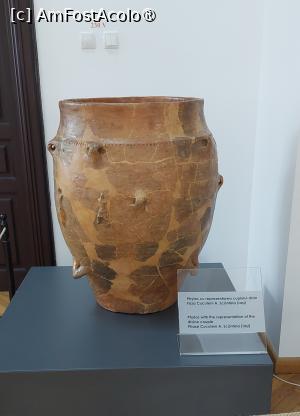 [P27] Expoziția Cucuteni de la Muzeul de Istorie; vas phytos, faza Cucuteni A » foto by Carmen Ion
 - 
<span class="allrVoted glyphicon glyphicon-heart hidden" id="av1505446"></span>
<a class="m-l-10 hidden" id="sv1505446" onclick="voting_Foto_DelVot(,1505446,20792)" role="button">șterge vot <span class="glyphicon glyphicon-remove"></span></a>
<a id="v91505446" class=" c-red"  onclick="voting_Foto_SetVot(1505446)" role="button"><span class="glyphicon glyphicon-heart-empty"></span> <b>LIKE</b> = Votează poza</a> <img class="hidden"  id="f1505446W9" src="/imagini/loader.gif" border="0" /><span class="AjErrMes hidden" id="e1505446ErM"></span>
