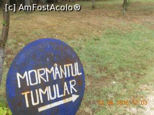 [P07] indicatorul spre mormantul tumular » foto by zlatna
 - 
<span class="allrVoted glyphicon glyphicon-heart hidden" id="av779162"></span>
<a class="m-l-10 hidden" id="sv779162" onclick="voting_Foto_DelVot(,779162,20825)" role="button">șterge vot <span class="glyphicon glyphicon-remove"></span></a>
<a id="v9779162" class=" c-red"  onclick="voting_Foto_SetVot(779162)" role="button"><span class="glyphicon glyphicon-heart-empty"></span> <b>LIKE</b> = Votează poza</a> <img class="hidden"  id="f779162W9" src="/imagini/loader.gif" border="0" /><span class="AjErrMes hidden" id="e779162ErM"></span>