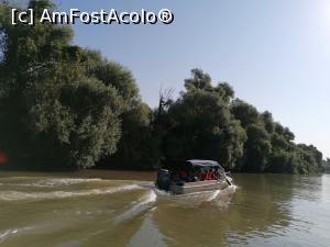 [P01] Cu salupa pe canalele Deltei Dunarii. » foto by Dan Petrescu
 - 
<span class="allrVoted glyphicon glyphicon-heart hidden" id="av1251117"></span>
<a class="m-l-10 hidden" id="sv1251117" onclick="voting_Foto_DelVot(,1251117,20889)" role="button">șterge vot <span class="glyphicon glyphicon-remove"></span></a>
<a id="v91251117" class=" c-red"  onclick="voting_Foto_SetVot(1251117)" role="button"><span class="glyphicon glyphicon-heart-empty"></span> <b>LIKE</b> = Votează poza</a> <img class="hidden"  id="f1251117W9" src="/imagini/loader.gif" border="0" /><span class="AjErrMes hidden" id="e1251117ErM"></span>