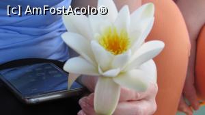 [P12]  -- <small>// FĂRĂ DESCRIERE</small> » foto by Kostinmoise
 - 
<span class="allrVoted glyphicon glyphicon-heart hidden" id="av866294"></span>
<a class="m-l-10 hidden" id="sv866294" onclick="voting_Foto_DelVot(,866294,20948)" role="button">șterge vot <span class="glyphicon glyphicon-remove"></span></a>
<a id="v9866294" class=" c-red"  onclick="voting_Foto_SetVot(866294)" role="button"><span class="glyphicon glyphicon-heart-empty"></span> <b>LIKE</b> = Votează poza</a> <img class="hidden"  id="f866294W9" src="/imagini/loader.gif" border="0" /><span class="AjErrMes hidden" id="e866294ErM"></span>
