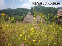 [P15] o vale de vis » foto by dorgo
 - 
<span class="allrVoted glyphicon glyphicon-heart hidden" id="av93723"></span>
<a class="m-l-10 hidden" id="sv93723" onclick="voting_Foto_DelVot(,93723,20973)" role="button">șterge vot <span class="glyphicon glyphicon-remove"></span></a>
<a id="v993723" class=" c-red"  onclick="voting_Foto_SetVot(93723)" role="button"><span class="glyphicon glyphicon-heart-empty"></span> <b>LIKE</b> = Votează poza</a> <img class="hidden"  id="f93723W9" src="/imagini/loader.gif" border="0" /><span class="AjErrMes hidden" id="e93723ErM"></span>