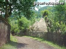 [P16] o ulita » foto by dorgo
 - 
<span class="allrVoted glyphicon glyphicon-heart hidden" id="av93724"></span>
<a class="m-l-10 hidden" id="sv93724" onclick="voting_Foto_DelVot(,93724,20973)" role="button">șterge vot <span class="glyphicon glyphicon-remove"></span></a>
<a id="v993724" class=" c-red"  onclick="voting_Foto_SetVot(93724)" role="button"><span class="glyphicon glyphicon-heart-empty"></span> <b>LIKE</b> = Votează poza</a> <img class="hidden"  id="f93724W9" src="/imagini/loader.gif" border="0" /><span class="AjErrMes hidden" id="e93724ErM"></span>