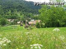 [P32] cate nuante de verde! » foto by dorgo
 - 
<span class="allrVoted glyphicon glyphicon-heart hidden" id="av93740"></span>
<a class="m-l-10 hidden" id="sv93740" onclick="voting_Foto_DelVot(,93740,20973)" role="button">șterge vot <span class="glyphicon glyphicon-remove"></span></a>
<a id="v993740" class=" c-red"  onclick="voting_Foto_SetVot(93740)" role="button"><span class="glyphicon glyphicon-heart-empty"></span> <b>LIKE</b> = Votează poza</a> <img class="hidden"  id="f93740W9" src="/imagini/loader.gif" border="0" /><span class="AjErrMes hidden" id="e93740ErM"></span>