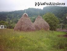 [P09] pasuni si capite » foto by dorgo
 - 
<span class="allrVoted glyphicon glyphicon-heart hidden" id="av93717"></span>
<a class="m-l-10 hidden" id="sv93717" onclick="voting_Foto_DelVot(,93717,20973)" role="button">șterge vot <span class="glyphicon glyphicon-remove"></span></a>
<a id="v993717" class=" c-red"  onclick="voting_Foto_SetVot(93717)" role="button"><span class="glyphicon glyphicon-heart-empty"></span> <b>LIKE</b> = Votează poza</a> <img class="hidden"  id="f93717W9" src="/imagini/loader.gif" border="0" /><span class="AjErrMes hidden" id="e93717ErM"></span>