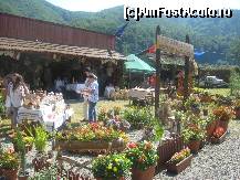 [P17] Reghinul a inchiriat un spatiu mai mare, aici vedem expozitia horticola » foto by dorgo
 - 
<span class="allrVoted glyphicon glyphicon-heart hidden" id="av222114"></span>
<a class="m-l-10 hidden" id="sv222114" onclick="voting_Foto_DelVot(,222114,20973)" role="button">șterge vot <span class="glyphicon glyphicon-remove"></span></a>
<a id="v9222114" class=" c-red"  onclick="voting_Foto_SetVot(222114)" role="button"><span class="glyphicon glyphicon-heart-empty"></span> <b>LIKE</b> = Votează poza</a> <img class="hidden"  id="f222114W9" src="/imagini/loader.gif" border="0" /><span class="AjErrMes hidden" id="e222114ErM"></span>