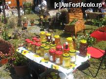 [P21] Avem miere de salcam, de tei si poliflora! » foto by dorgo
 - 
<span class="allrVoted glyphicon glyphicon-heart hidden" id="av222118"></span>
<a class="m-l-10 hidden" id="sv222118" onclick="voting_Foto_DelVot(,222118,20973)" role="button">șterge vot <span class="glyphicon glyphicon-remove"></span></a>
<a id="v9222118" class=" c-red"  onclick="voting_Foto_SetVot(222118)" role="button"><span class="glyphicon glyphicon-heart-empty"></span> <b>LIKE</b> = Votează poza</a> <img class="hidden"  id="f222118W9" src="/imagini/loader.gif" border="0" /><span class="AjErrMes hidden" id="e222118ErM"></span>