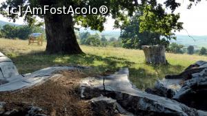 [P12] Detaliu cu locul de popas. Înspre dreapta, pe sub coroana copacului din față, se zărește Bătrânul.  » foto by Lucien
 - 
<span class="allrVoted glyphicon glyphicon-heart hidden" id="av967228"></span>
<a class="m-l-10 hidden" id="sv967228" onclick="voting_Foto_DelVot(,967228,21040)" role="button">șterge vot <span class="glyphicon glyphicon-remove"></span></a>
<a id="v9967228" class=" c-red"  onclick="voting_Foto_SetVot(967228)" role="button"><span class="glyphicon glyphicon-heart-empty"></span> <b>LIKE</b> = Votează poza</a> <img class="hidden"  id="f967228W9" src="/imagini/loader.gif" border="0" /><span class="AjErrMes hidden" id="e967228ErM"></span>