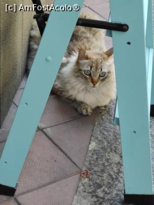 [P47] La pas prin Insula Lipari » foto by crismis
 - 
<span class="allrVoted glyphicon glyphicon-heart hidden" id="av1498776"></span>
<a class="m-l-10 hidden" id="sv1498776" onclick="voting_Foto_DelVot(,1498776,21065)" role="button">șterge vot <span class="glyphicon glyphicon-remove"></span></a>
<a id="v91498776" class=" c-red"  onclick="voting_Foto_SetVot(1498776)" role="button"><span class="glyphicon glyphicon-heart-empty"></span> <b>LIKE</b> = Votează poza</a> <img class="hidden"  id="f1498776W9" src="/imagini/loader.gif" border="0" /><span class="AjErrMes hidden" id="e1498776ErM"></span>