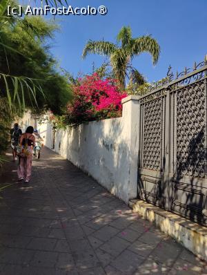 [P84] La pas prin Insula Stromboli » foto by crismis
 - 
<span class="allrVoted glyphicon glyphicon-heart hidden" id="av1498813"></span>
<a class="m-l-10 hidden" id="sv1498813" onclick="voting_Foto_DelVot(,1498813,21065)" role="button">șterge vot <span class="glyphicon glyphicon-remove"></span></a>
<a id="v91498813" class=" c-red"  onclick="voting_Foto_SetVot(1498813)" role="button"><span class="glyphicon glyphicon-heart-empty"></span> <b>LIKE</b> = Votează poza</a> <img class="hidden"  id="f1498813W9" src="/imagini/loader.gif" border="0" /><span class="AjErrMes hidden" id="e1498813ErM"></span>